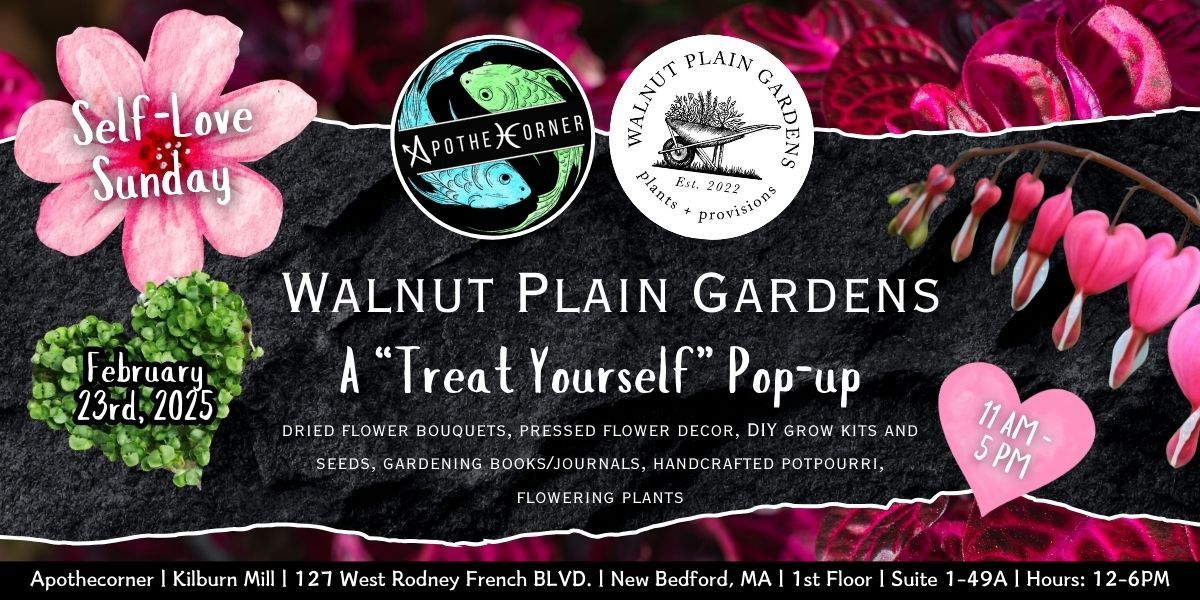 Self-Love Sunday | Walnut Plain Gardens Pop-Up at Apothecorner