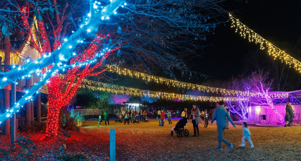 Holiday Wonders at the Garden