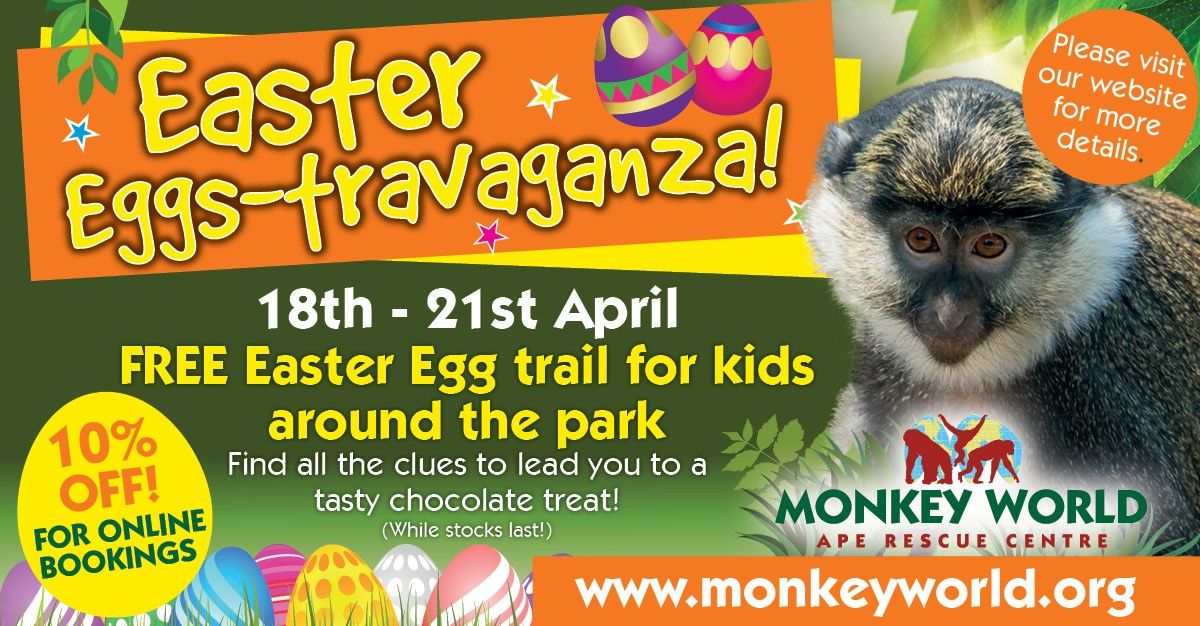 Easter Eggs-travaganza at Monkey World!