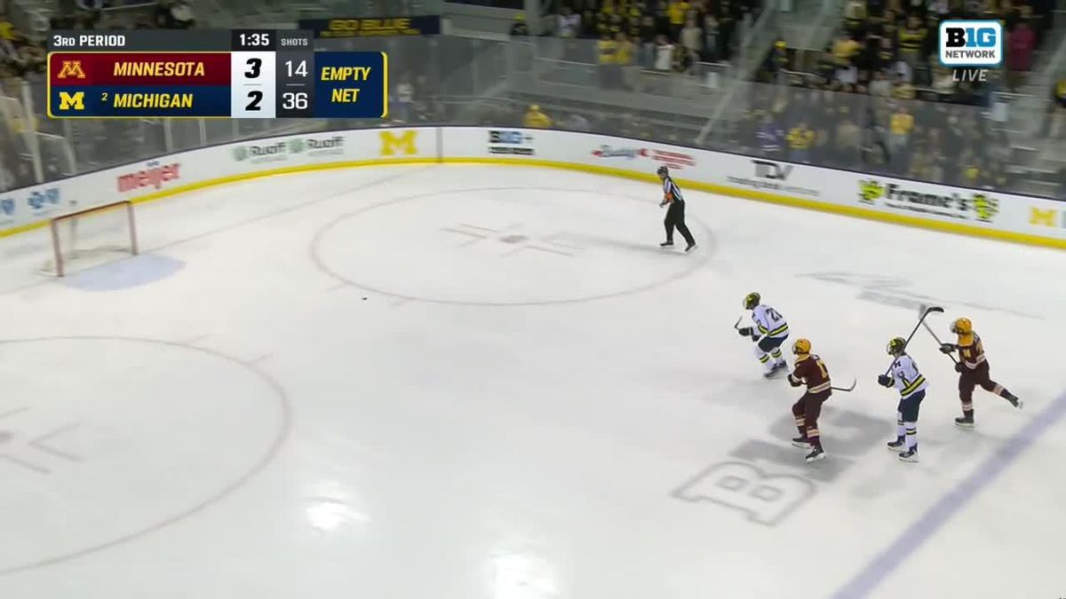 Minnesota Golden Gophers vs. Michigan Wolverines