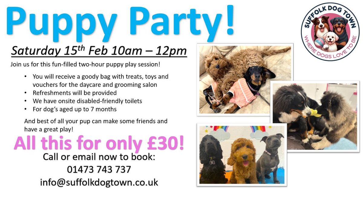 Puppy Party \ud83d\udc3e