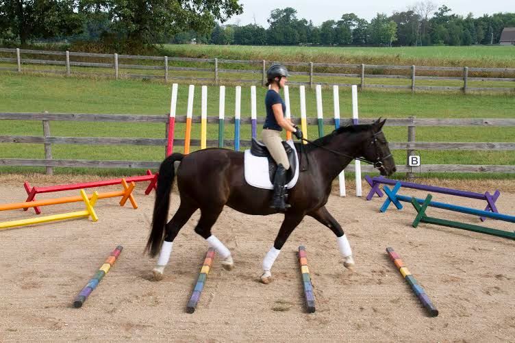 ACE Pole & Jump Clinics@Park Farm, Oakley