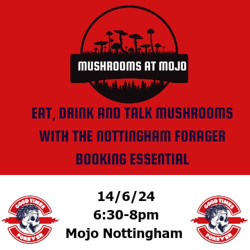 Mushrooms At Mojo 