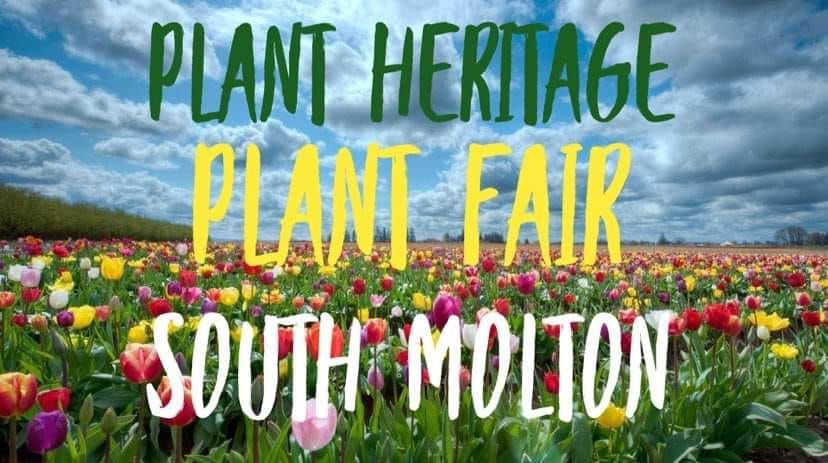 Plant Heritage Plant Fair