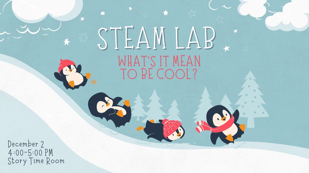 STEAM Lab: What's it mean to be cool?