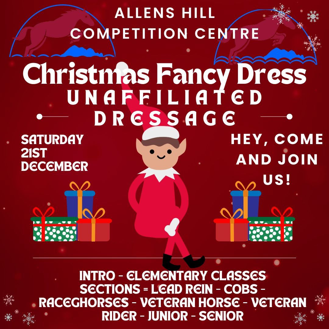 Christmas Fancy Dressage Unaffiliated Dressage