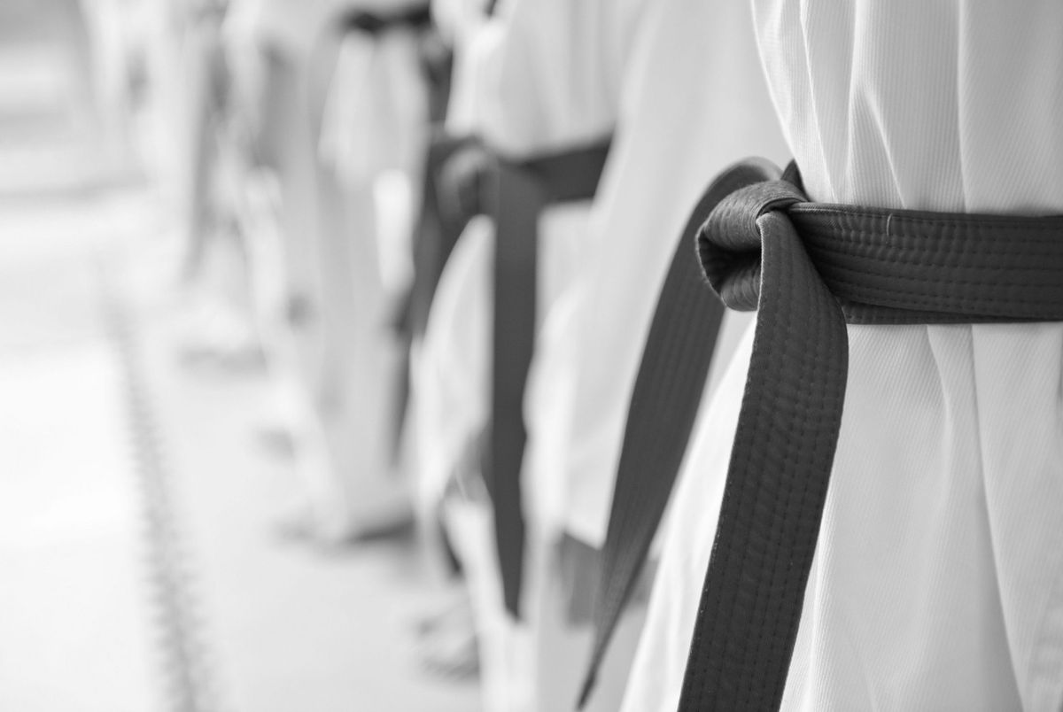 TKD Pre-BLACK-Belt Technical Seminar 2024