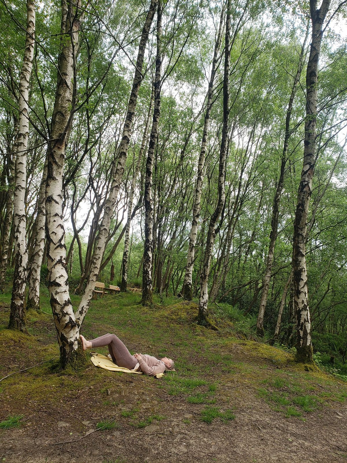 Macclesfield Forest Bathing  \/ Shinrin Yoku \/ Nature  Connection 