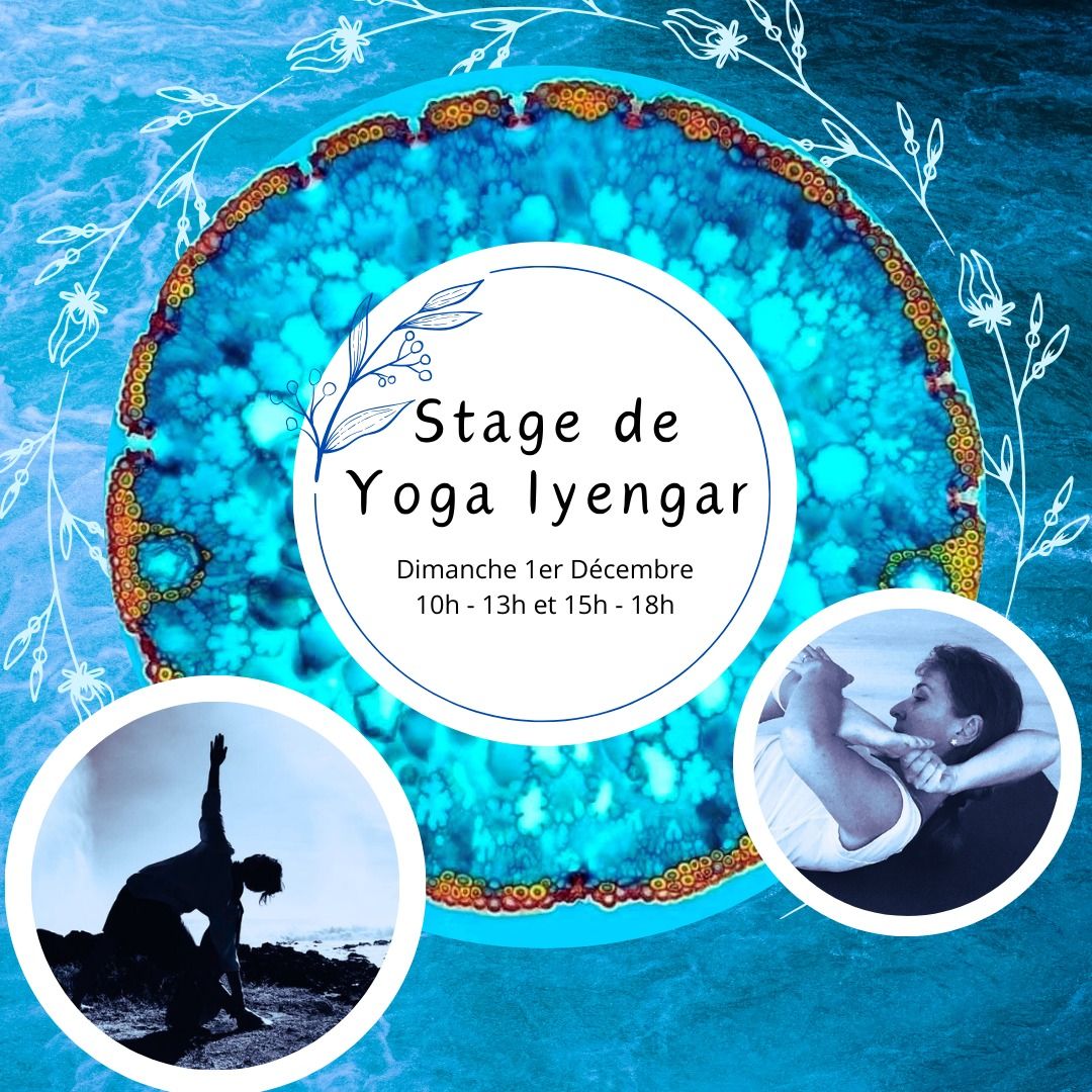 Stage de Yoga Iyengar : La fluidit\u00e9