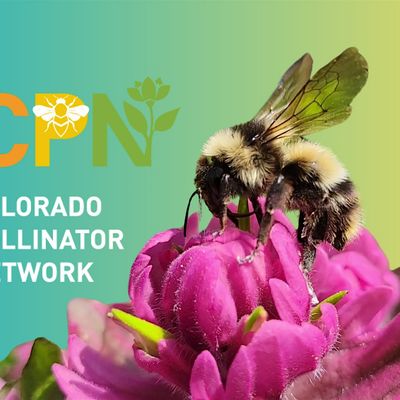 Colorado Pollinator Network