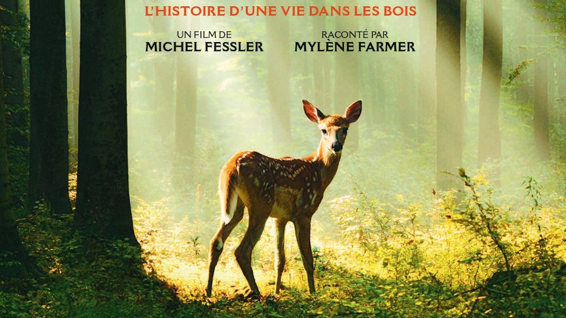 Bambi, l'histoire d'une vie dans les bois