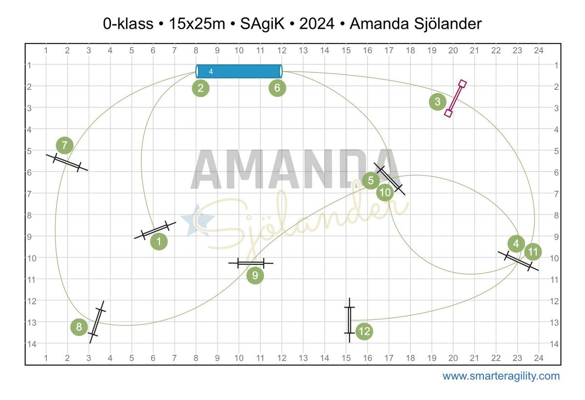 Samtr\u00e4ning: Nollklass i agility