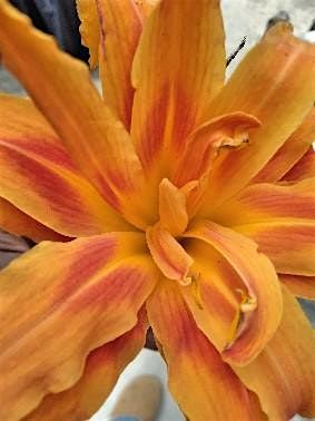 Praise & Paint Party