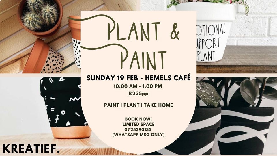 Pick a plant, paint a pot & take it home