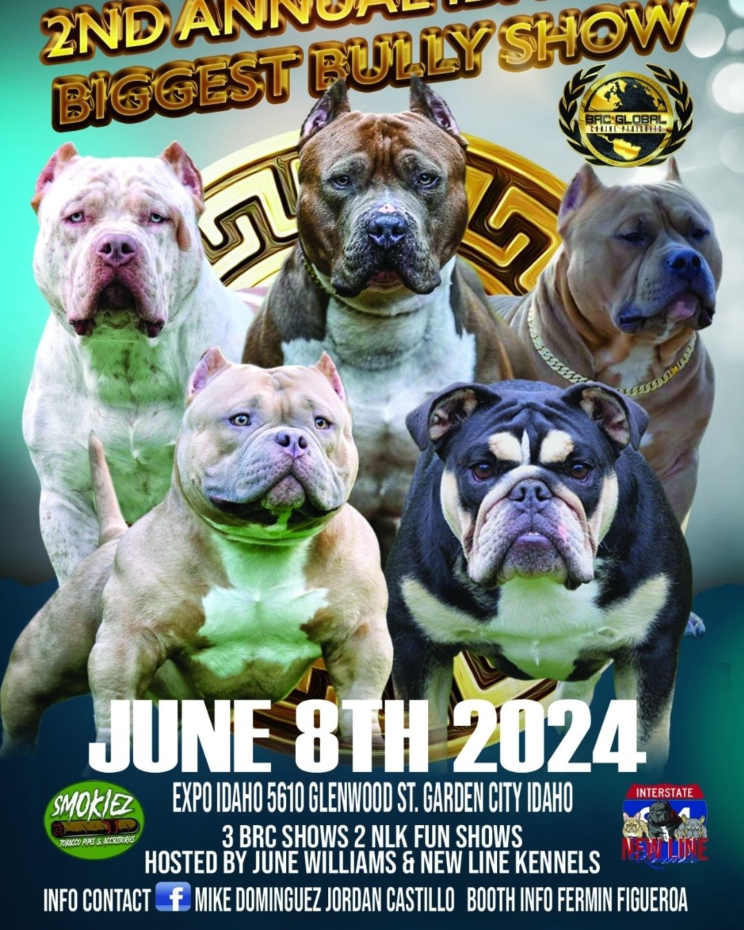 2nd Annual Idaho Biggest Bully Dog Show 