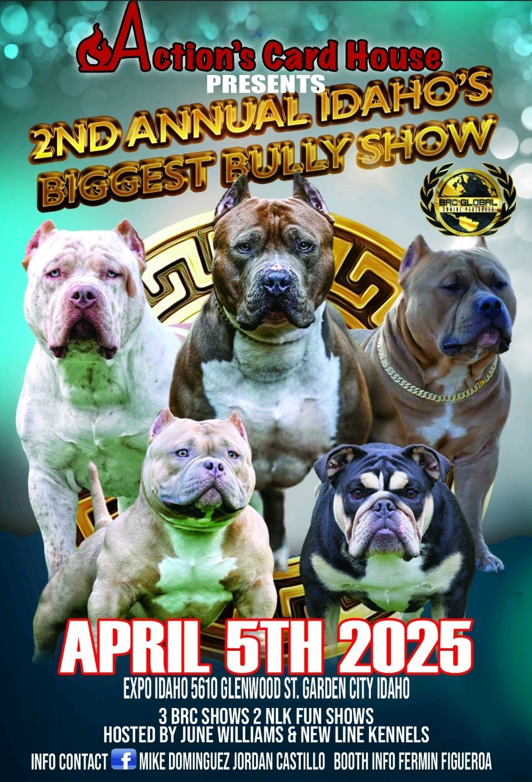 2nd Annual Idaho Biggest Bully Dog Show 