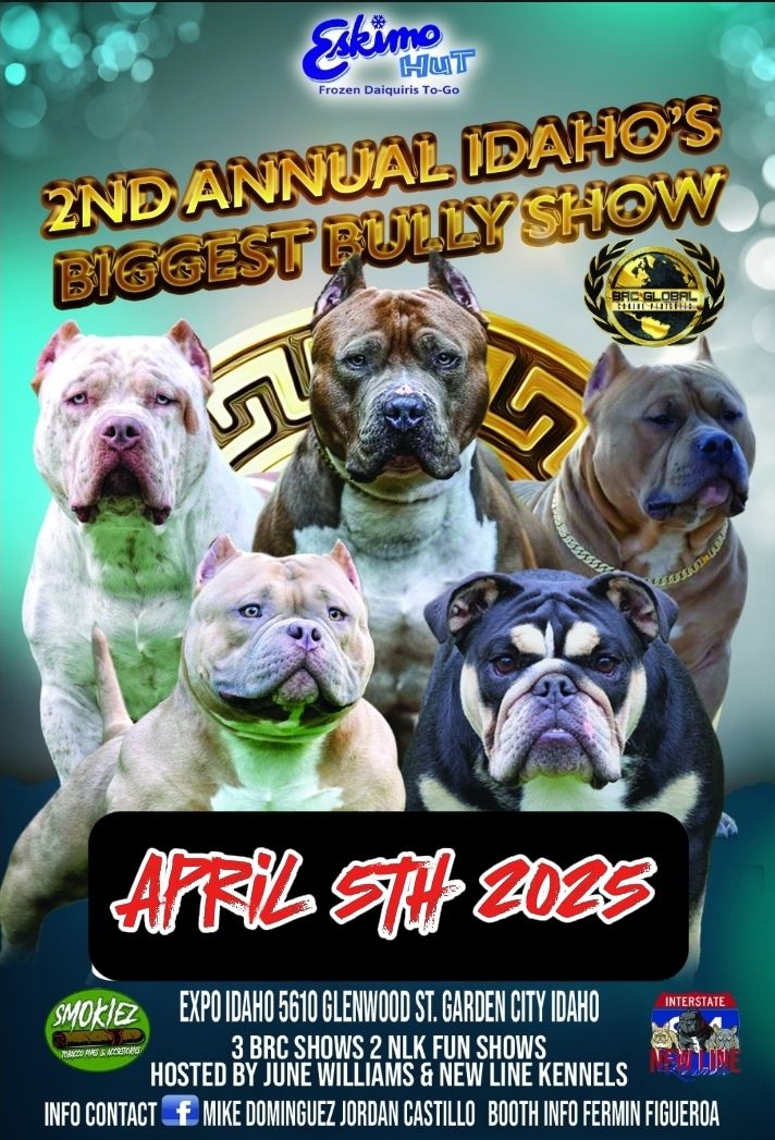 2nd Annual Idaho Biggest Bully Dog Show 