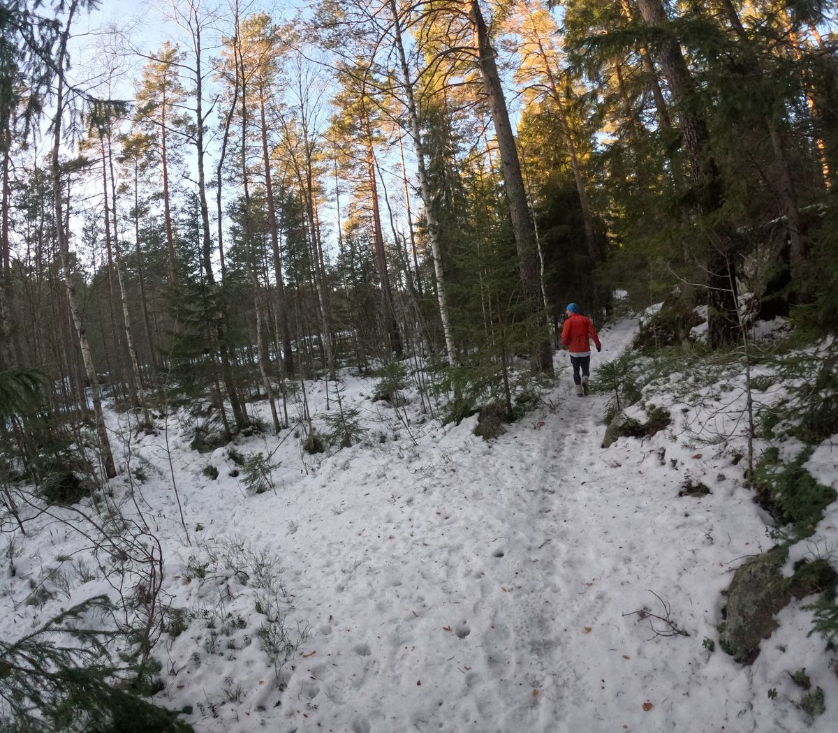 Maaliskuun polkujuoksupitkis noin 20km