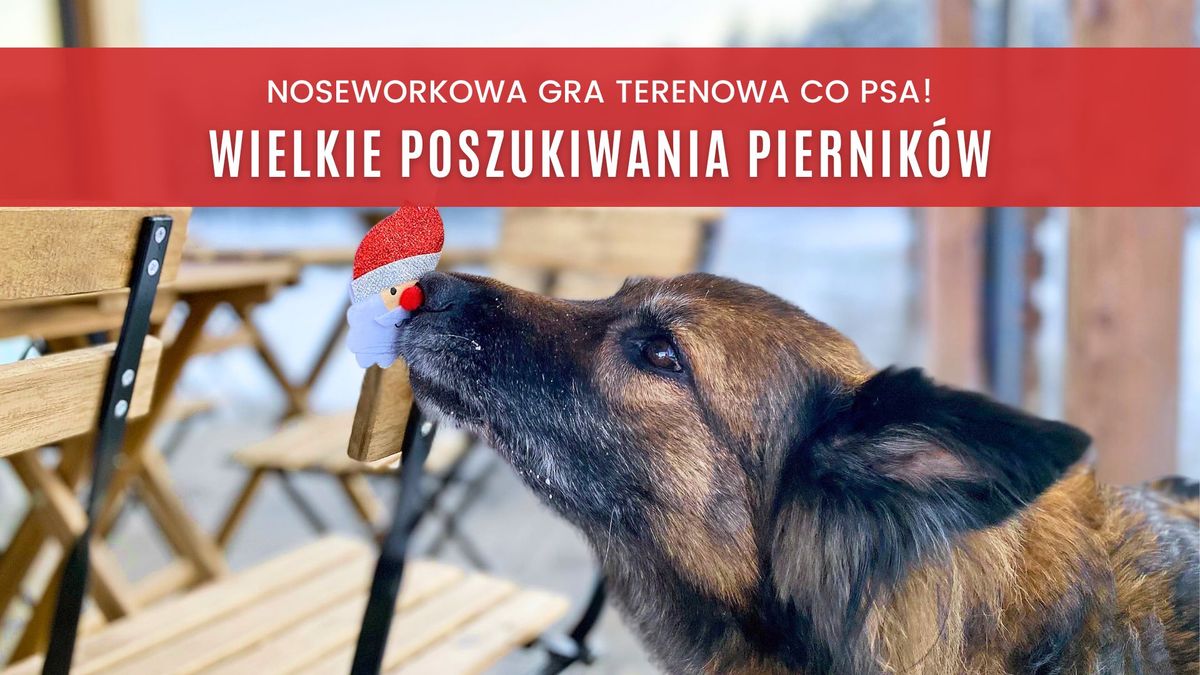 Nosework - gra terenowa: Wielkie poszukiwania piernik\u00f3w!