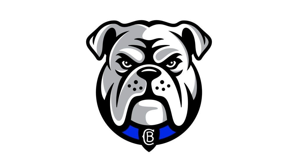 2026 NRL Telstra Premiership Bulldogs v Warriors (Round 21)