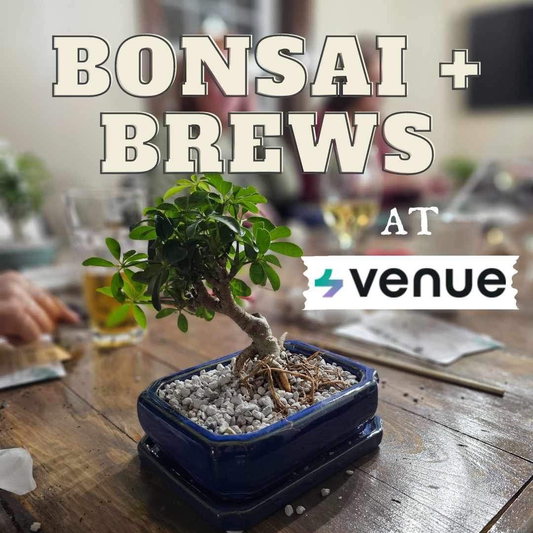 Bonsai + Brews at Venue by 4M 