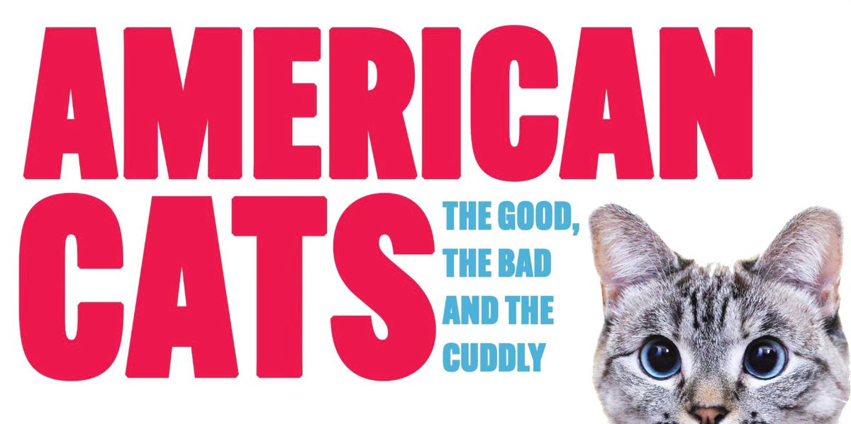 AMERICAN CATS:  The Good, The Bad & The Cuddly presented by the NYC BAR Association