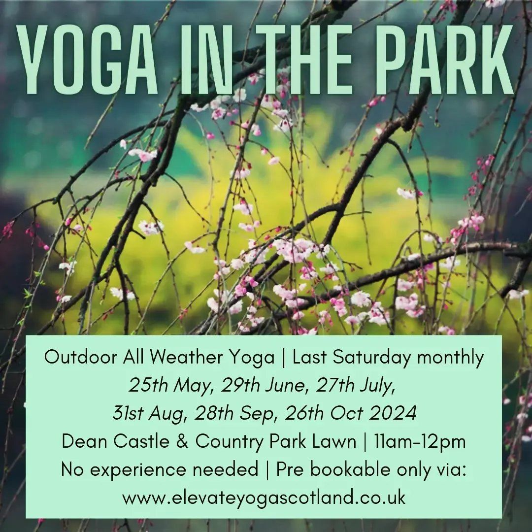 Yoga In The Park