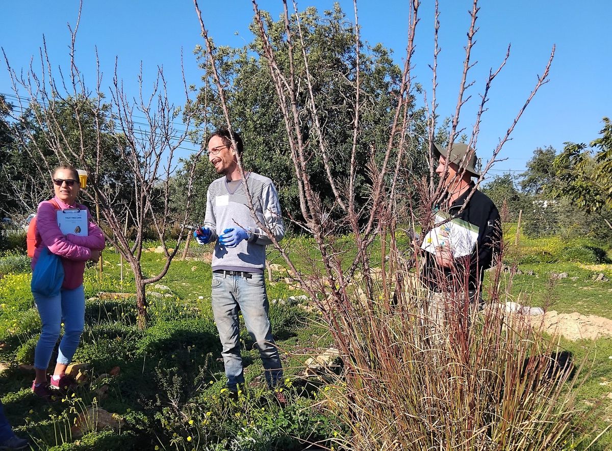 Workshop : Food Tree Care - Pruning & Fertilizing in Mediterranean Climates