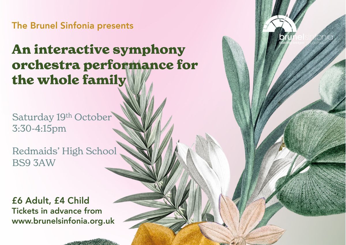 Brunel Sinfonia Autumn Family Concert