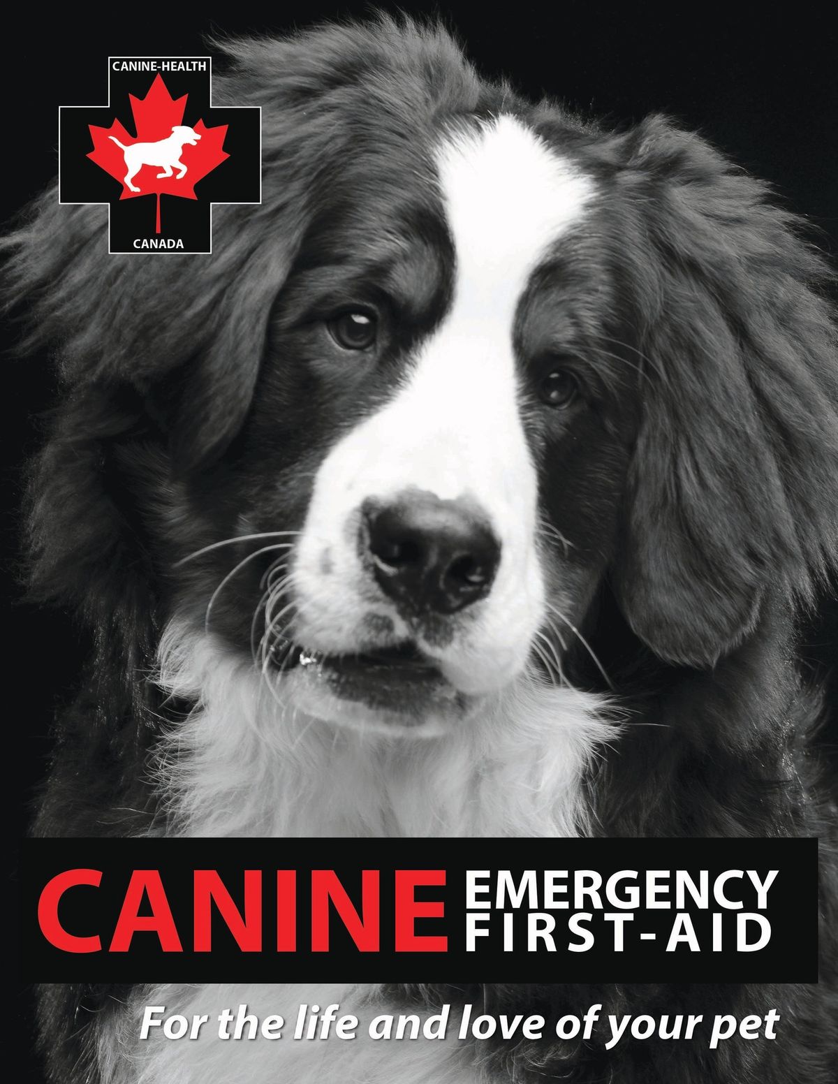 Canine Health and Emergency First Aid