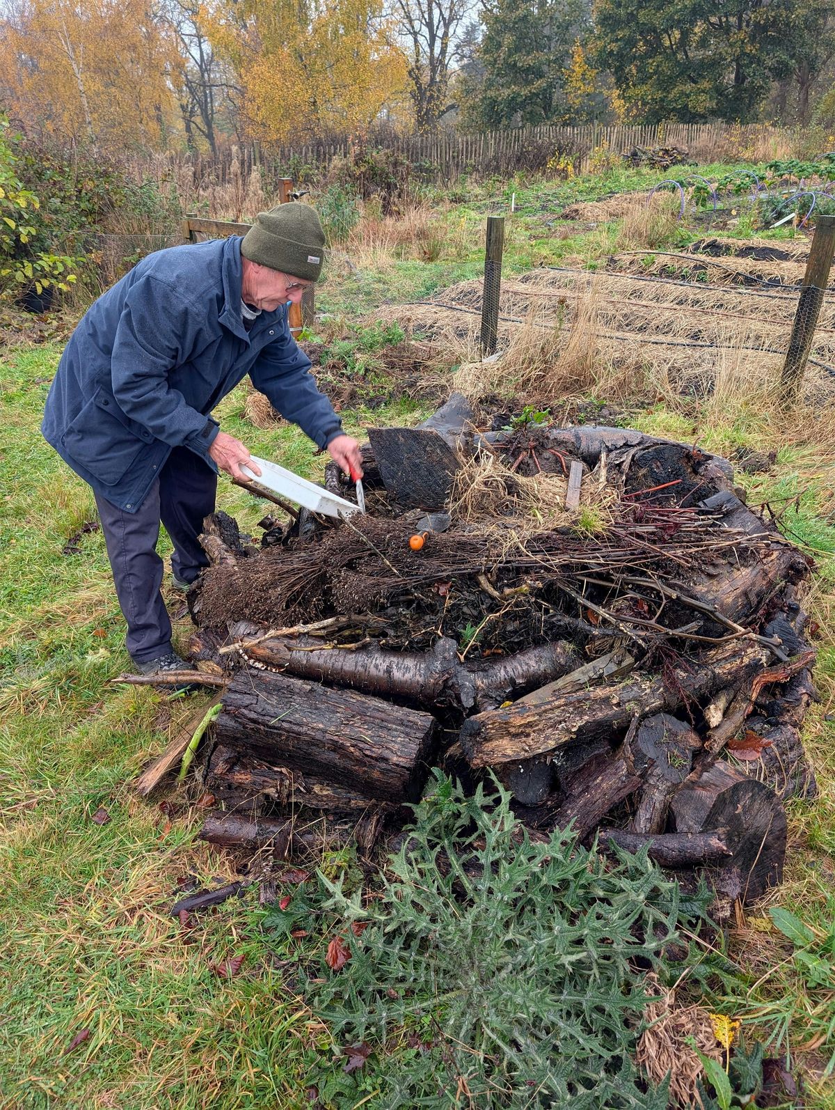 Preparing the garden for winter wildlife