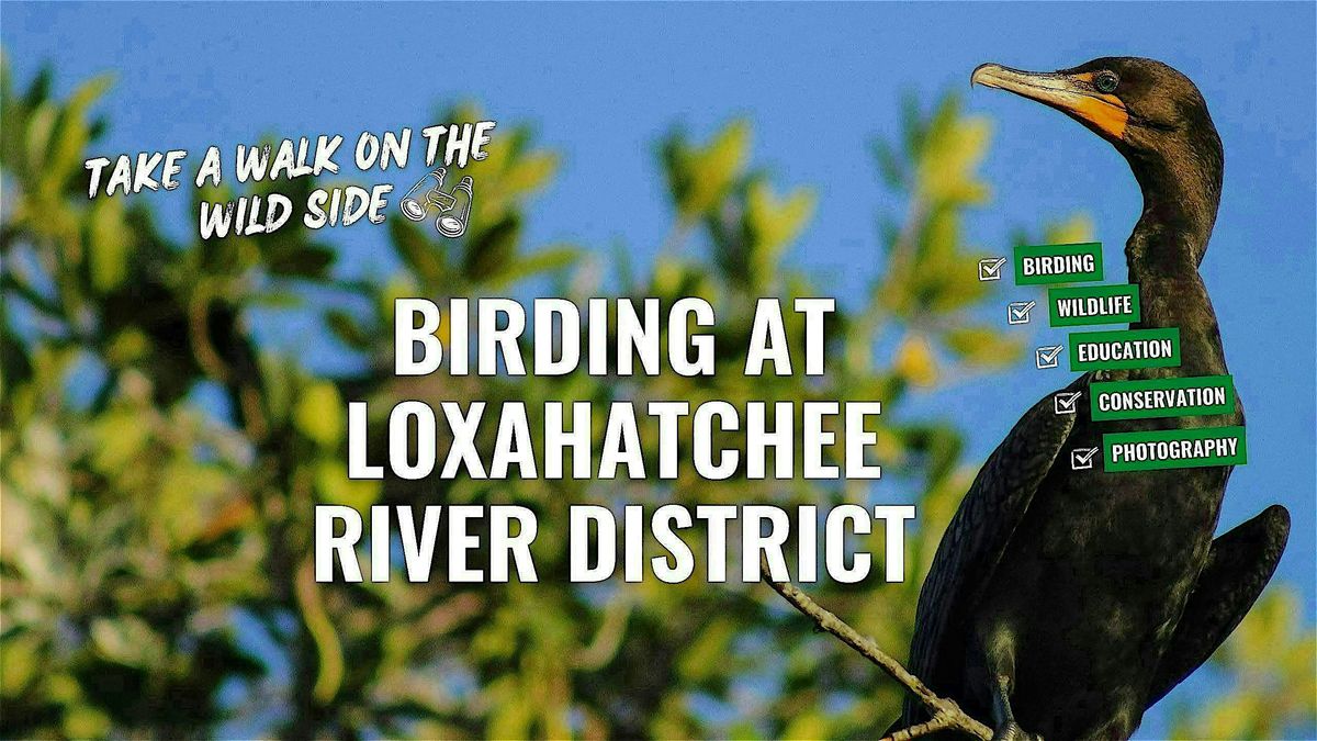 Birding at the Loxahatchee River District with the River Center