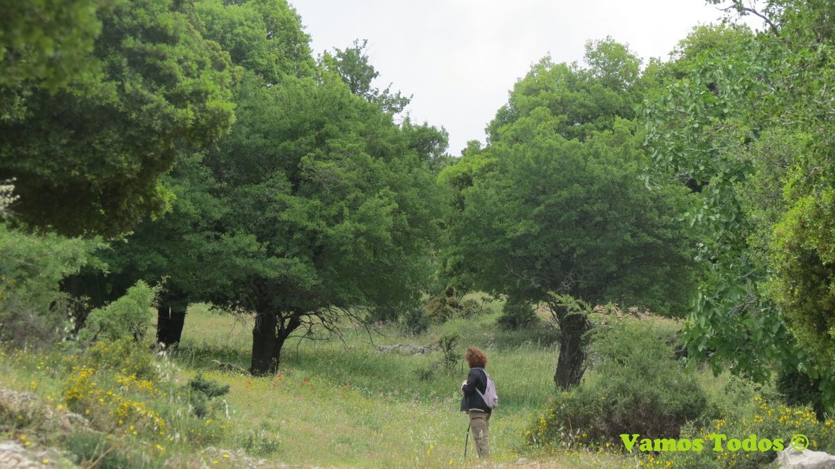 Ain Zebde Hike