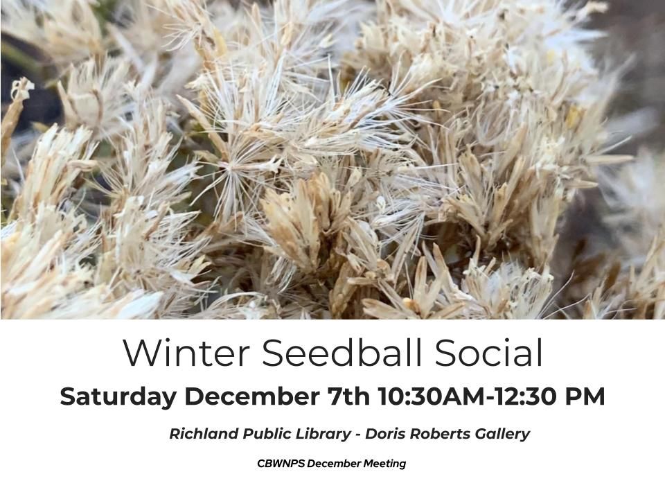 December Seedball Social