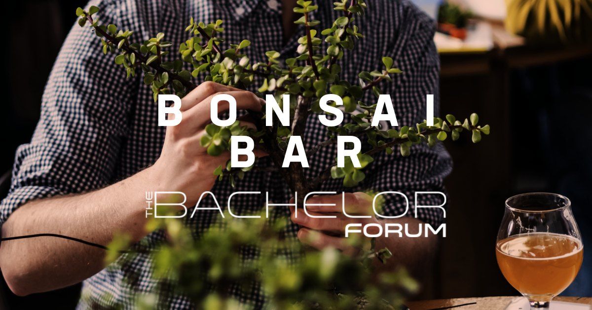 Bonsai Bar @ Bachelor Forum