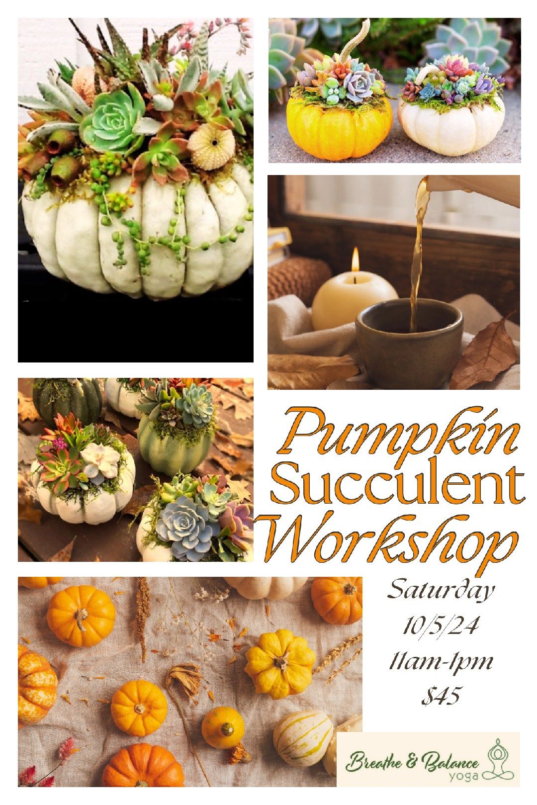 Succulent Pumpkin Workshop