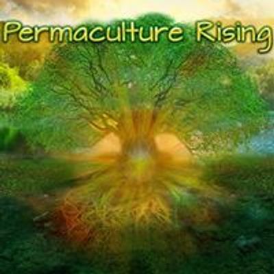 Permaculture Rising