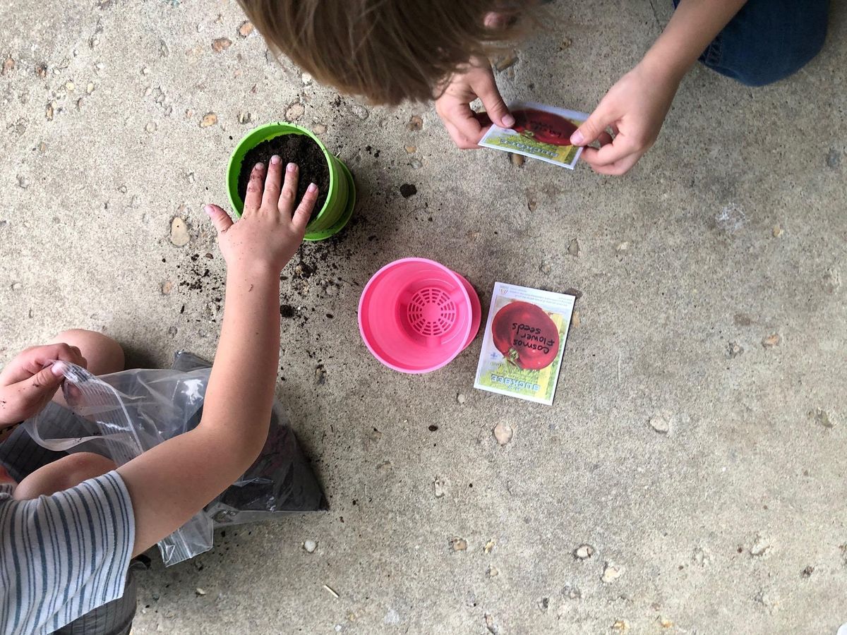 Market, Seed Exchange & Spring Planting Kits