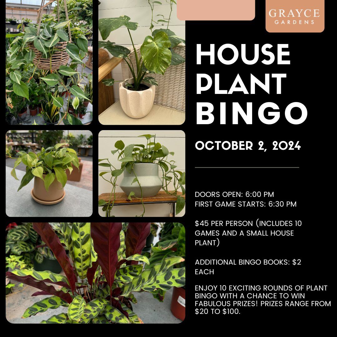 House Plant Bingo