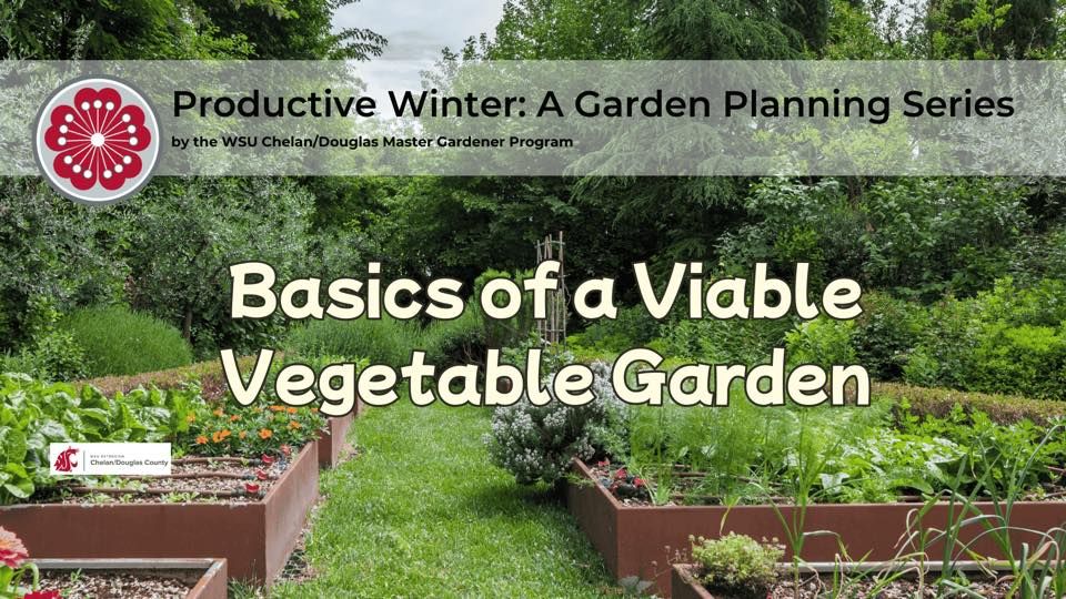 Productive Winter Series: Basics of a viable vegetable garden