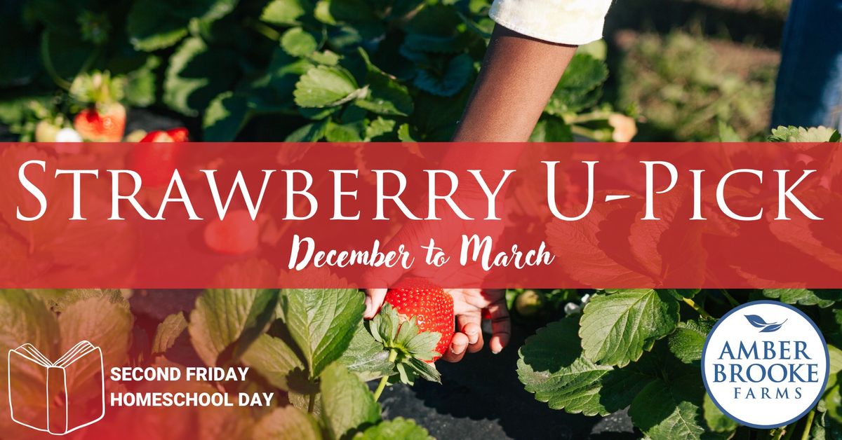 Strawberry U-Pick | Home School Friday