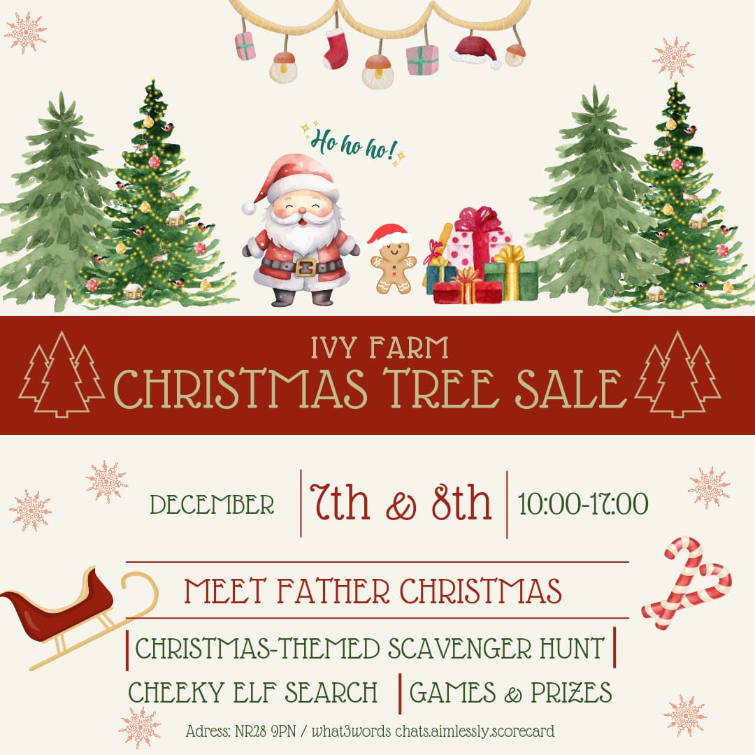 Meet Father Christmas at Ivy Farm 