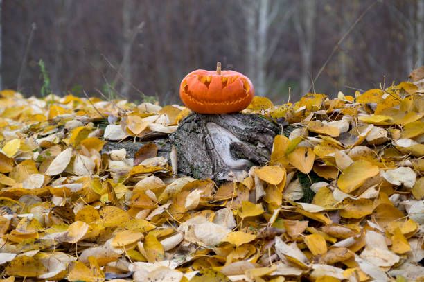 Halloween Treasure Hunt in Nature