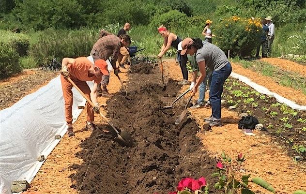 Alemany Farm Volunteer Day