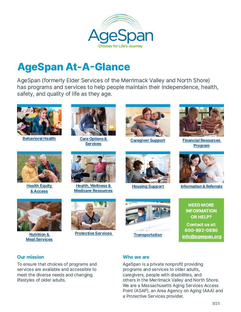 AgeSpan overview of services Presentation