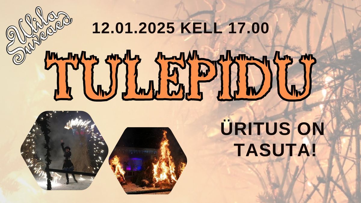 Tulepidu 2025