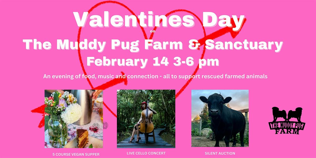 Valentines Day On The Muddy Pug Farm & Sanctuary