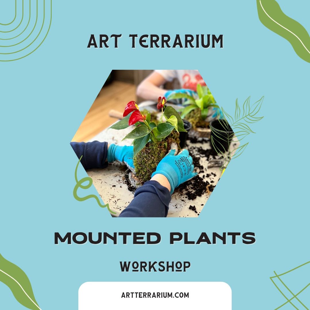 Mounted Plants for Beginners Workshop