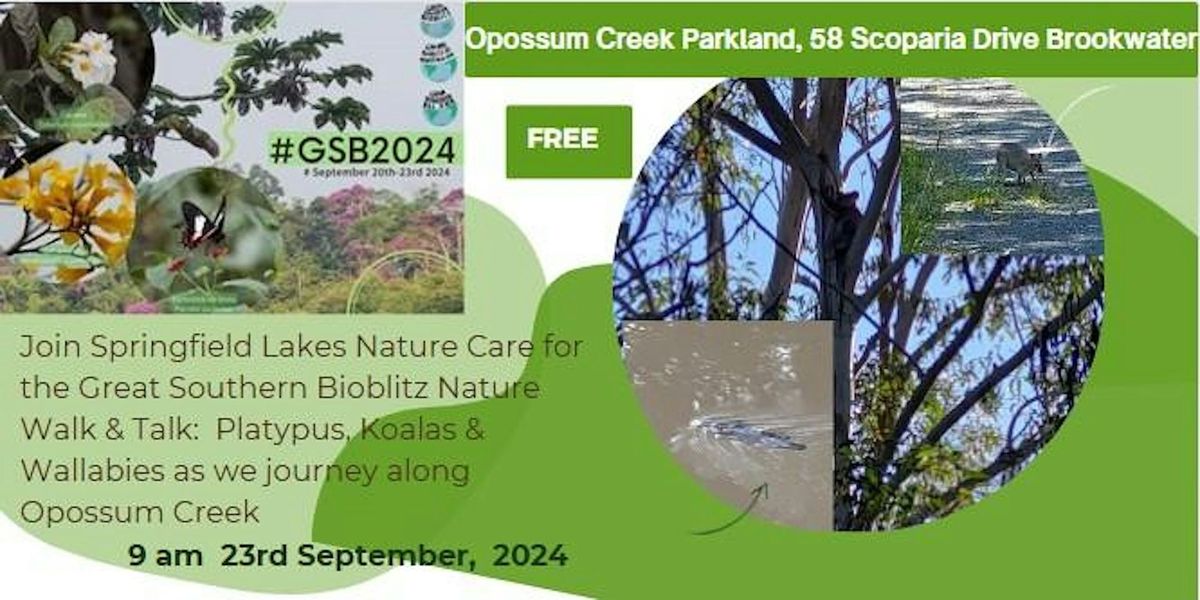 Great Southern Bioblitz Walk & Talk