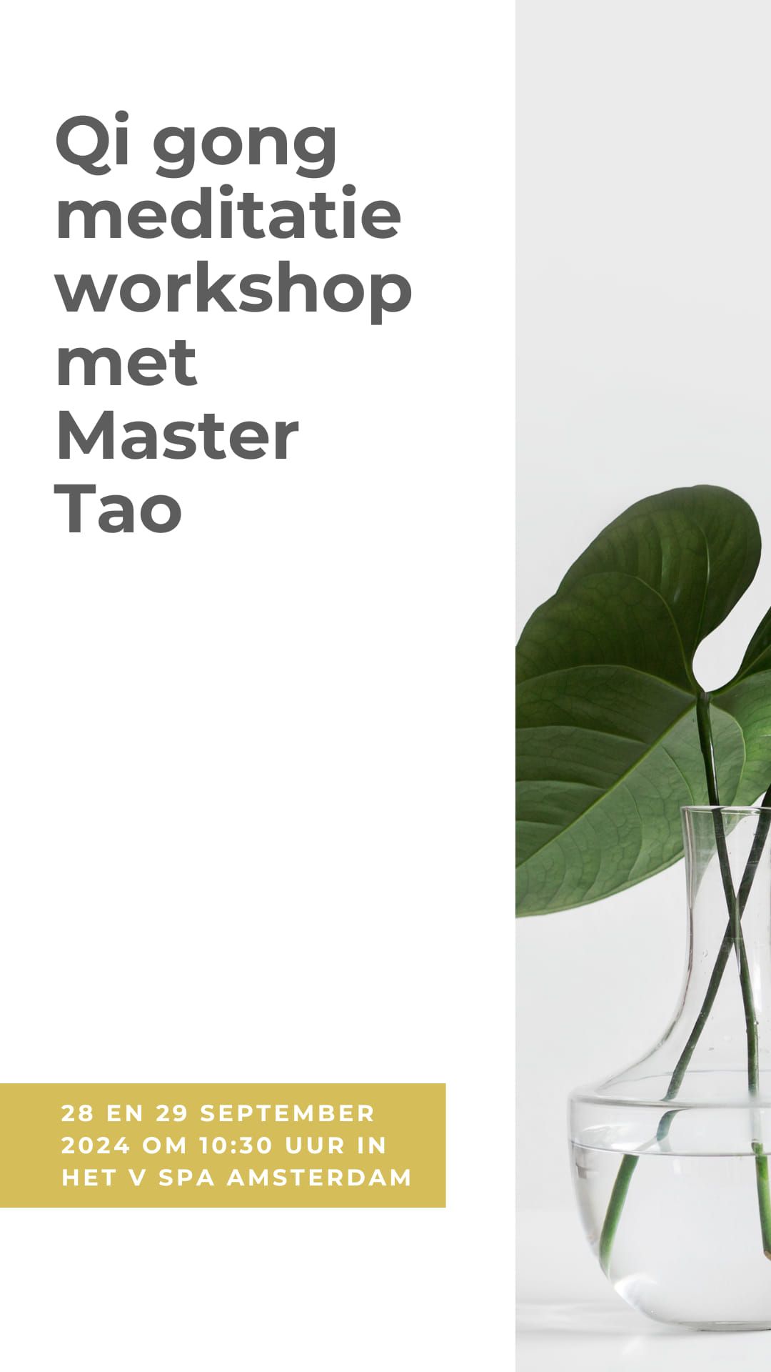 Qi gong workshop met Master Tao